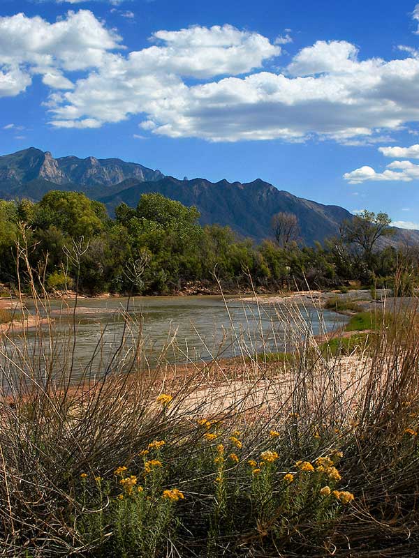 A scenic view of a river flowing through a landscape with dry grasses and yellow wildflowers in the foreground. Trees line the riverbank, and mountains are visible under a sky with scattered clouds.